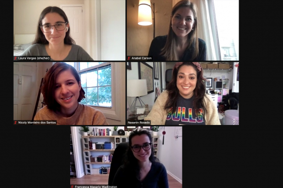 Screenshot of a zoom Liaison committee meeting.