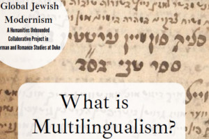 "What is multilingualism?"