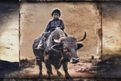  NCLAFF: Desobediente (The Disobedient One)